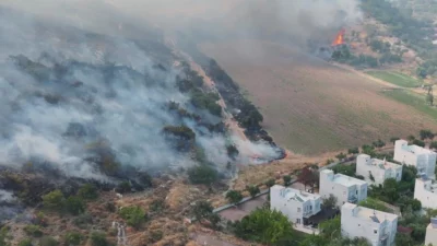 İzmir'de Dikili’nin Çandarlı Mahallesi’nde otluk ve zeytinlik alanda çıkan yangına