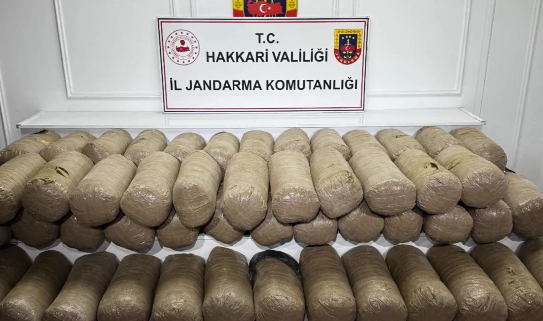 Hakkari'de jandarmanın düzenlediği narkotik operasyonunda 503 kilogram esrar ele geçirilirken,
