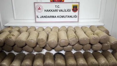 Hakkari'de jandarmanın düzenlediği narkotik operasyonunda 503 kilogram esrar ele geçirilirken,