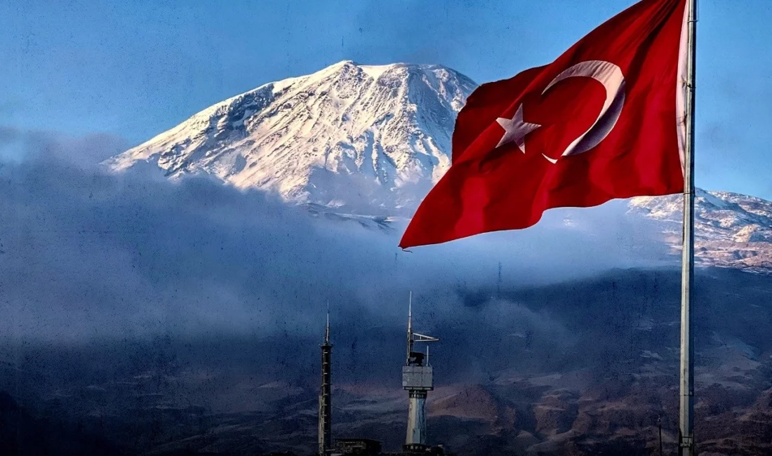 İçişleri Bakanlığı, bu yıl yürütülen ikna çalışmaları sonucunda 2’si gri,