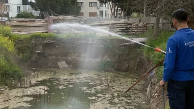 İzmir Büyükşehir Belediyesi, iklim değişikliği nedeniyle üreme süreleri uzayan sivrisinek