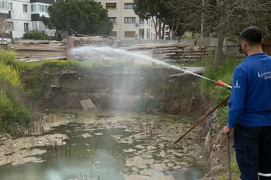 İzmir Büyükşehir Belediyesi, iklim değişikliği nedeniyle üreme süreleri uzayan sivrisinek