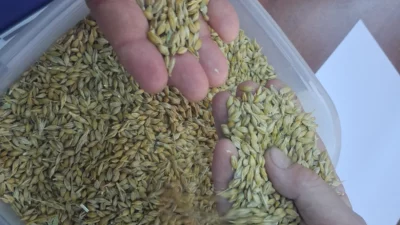 Keşan Ticaret Borsası’nda düzenlenen sezonun ilk salon satışında Karahisar Köyü’nden