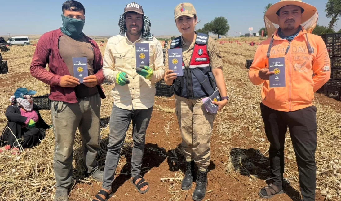 Şanlıurfa İl Jandarma Komutanlığı, aile içi ve kadına yönelik şiddetin