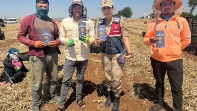 Şanlıurfa İl Jandarma Komutanlığı, aile içi ve kadına yönelik şiddetin