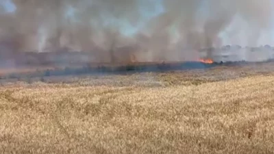 Edirne’nin Uzunköprü ilçesine bağlı Altınyazı Köyü’nde meydana gelen yangında, hasat
