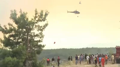 Tarım ve Orman Bakanlığı, Antalya'nın Kaş ve Aydın'ın Nazilli ilçelerindeki