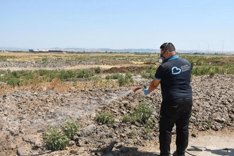 Balıkesir Büyükşehir Belediyesi, halk sağlığını korumak ve bulaşıcı hastalık riskini