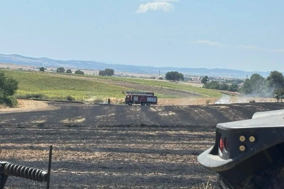Edirne'nin İpsala ilçesine bağlı Aliçopehlivan Köyü'nde çıkan yangında yaklaşık 50