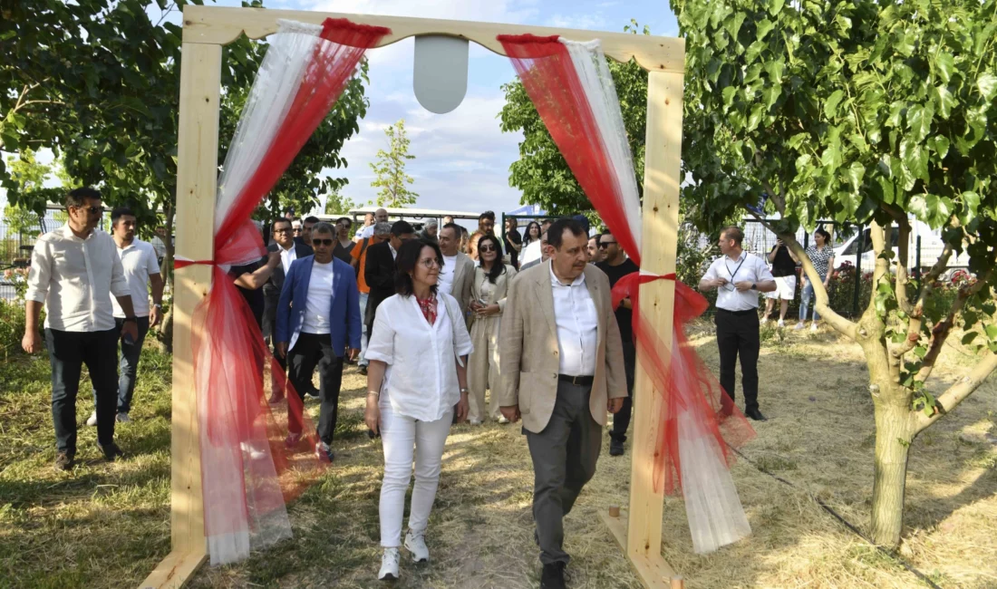 Ankara Büyükşehir Belediyesi’nin kente kazandırdığı ATA Çiftliği, ilk dut hasadına