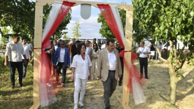 Ankara Büyükşehir Belediyesi’nin kente kazandırdığı ATA Çiftliği, ilk dut hasadına