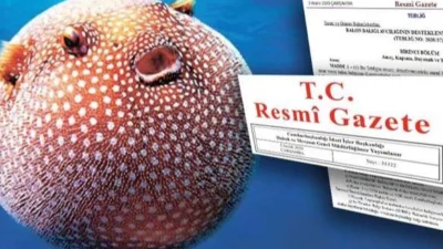 Resmi Gazete'de yayımlanan Cumhurbaşkanı Kararı ile balon balığı avcılığına yönelik