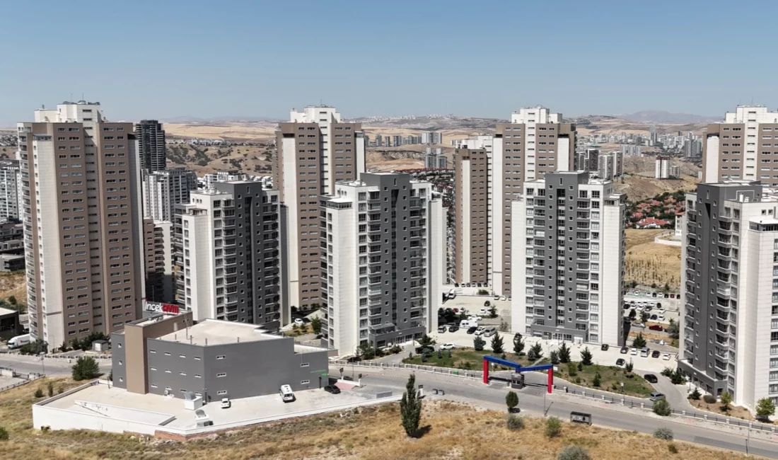 Gayrimenkul ekonomisi ve ileri düzey pazarlama alanında faaliyet gösteren sektör