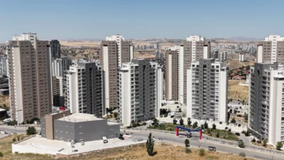 Gayrimenkul ekonomisi ve ileri düzey pazarlama alanında faaliyet gösteren sektör