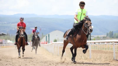 Bursa Büyükşehir Belediyesi Başkan Vekili Şahin Biba, Geleneksel Rahvan At