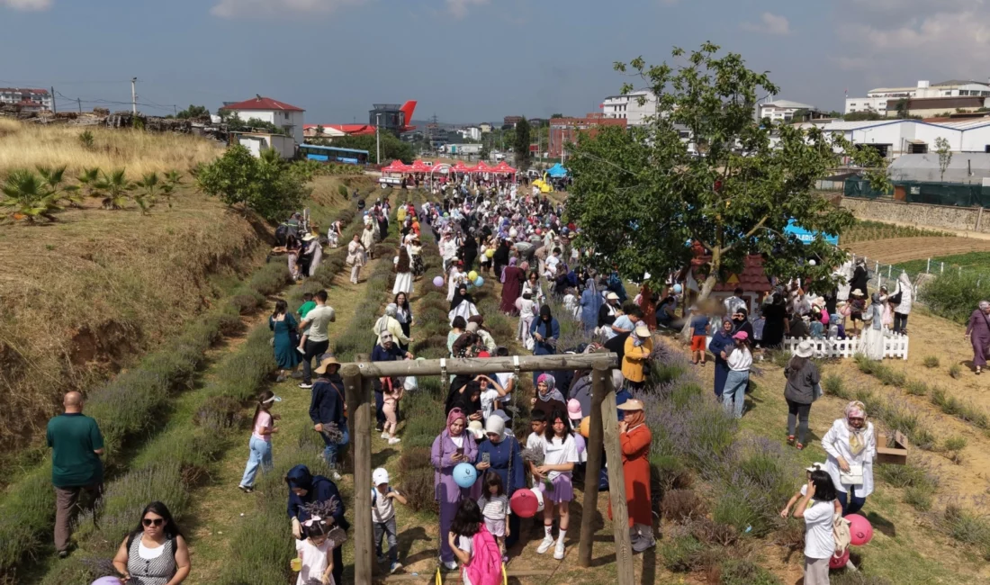 Çayırova Belediyesi’nin bu yıl ikincisini düzenlediği ve ilçede geleneksel hale