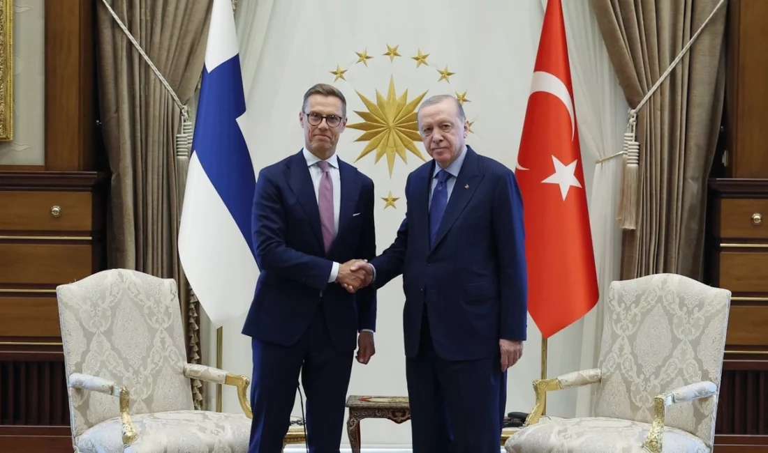 36. NATO Devlet ve Hükûmet Başkanları Zirvesi kapsamında Cumhurbaşkanı Recep