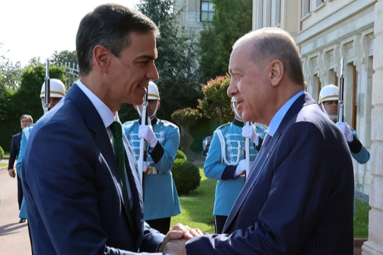 Cumhurbaşkanı Erdoğan, İspanya Başbakanı Pedro Sánchez ile görüştü. İkili ilişkiler,