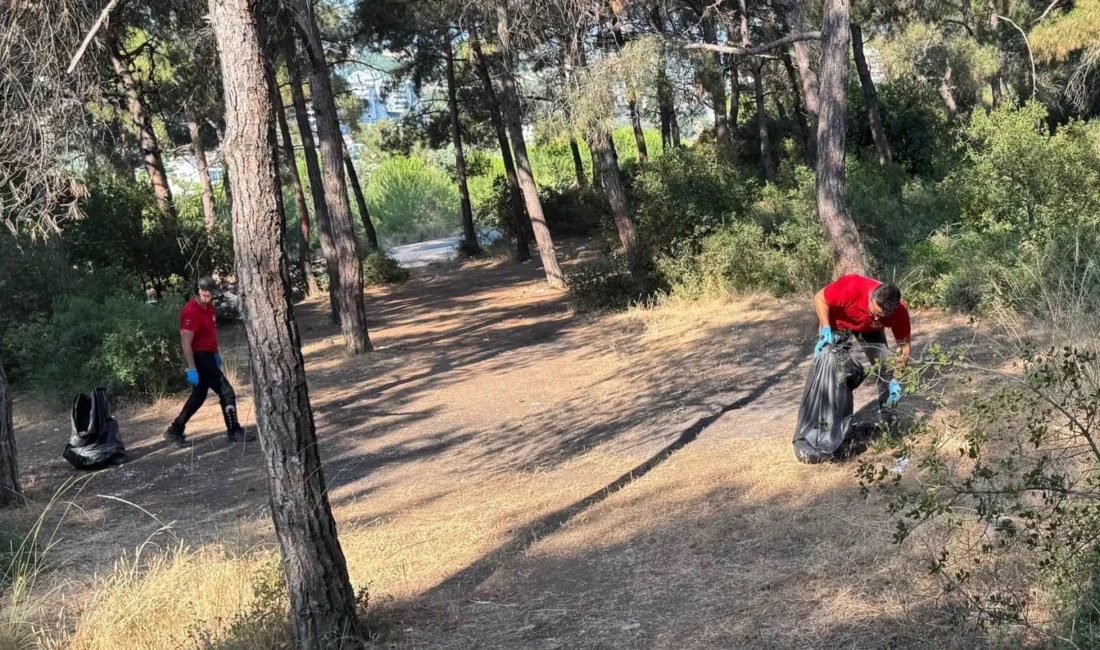 Bursa'nın Mudanya ilçesi Güzelyalı Çamlıbel mevkiinde orman yangını riskini azaltmak