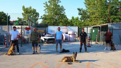 İstanbul Maltepe Belediyesi, AFAD koordinasyonunda yürüttüğü “Köpekli Arama Kurtarma Eğitimleri” ile