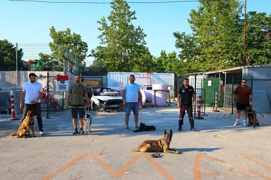 İstanbul Maltepe Belediyesi, AFAD koordinasyonunda yürüttüğü “Köpekli Arama Kurtarma Eğitimleri” ile