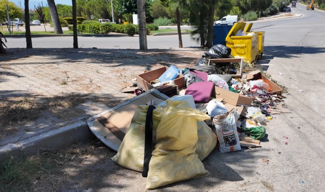 Güzelbahçe Belediye Başkan Vekili Ayşe Akın, Fen İşleri ile Park