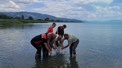 Bursa İl Tarım ve Orman Müdürlüğü, balık popülasyonunu artırmak ve