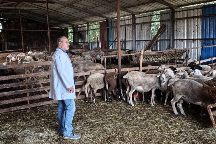 Kocaeli Büyükşehir Belediyesi, hayvancılık alanında hayata geçirdiği projelerle üreticiye sadece