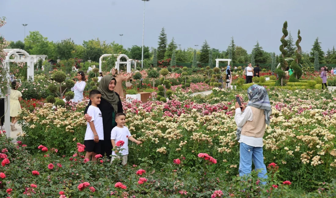 Karatay Lavanta Bahçesi ve Mevlana Gül Parkı'nı ziyaret eden binlerce