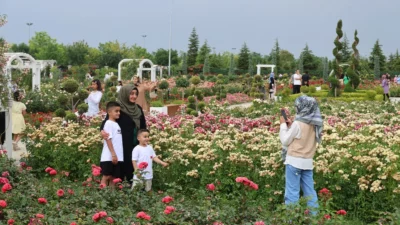 Karatay Lavanta Bahçesi ve Mevlana Gül Parkı'nı ziyaret eden binlerce
