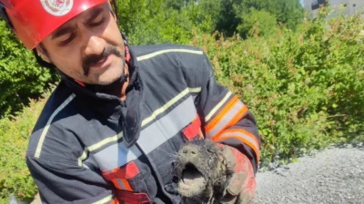 Malatya Büyükşehir Belediyesi İtfaiye Dairesi Başkanlığı ekipleri, başarılı bir kurtarma