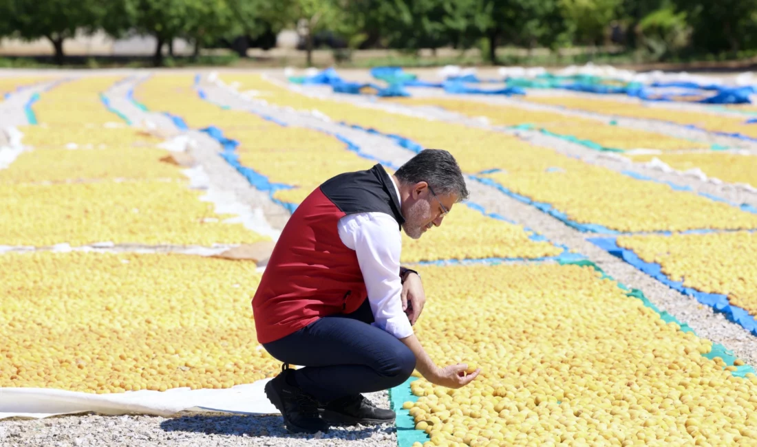 Tarım ve Orman Bakanı İbrahim Yumaklı, geçen yıl zirai dondan