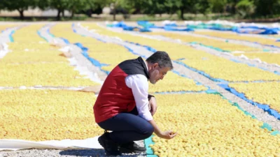 Tarım ve Orman Bakanı İbrahim Yumaklı, geçen yıl zirai dondan
