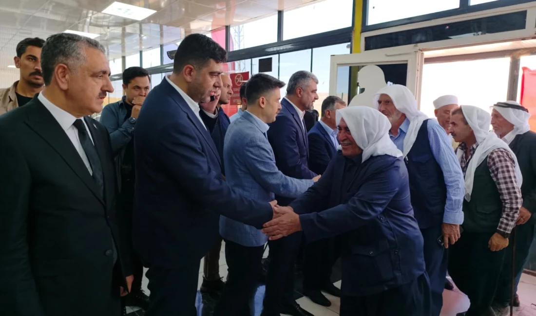 Mardin'in Derik ilçesinde Safa ve Hama aşiretleri arasında bir süredir