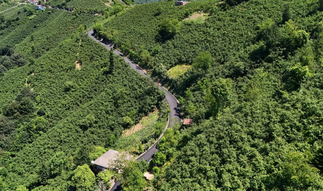 Ordu Büyükşehir Belediyesi, kırsal mahallelerde ulaşım yatırımlarını sürdürüyor. Ulubey ilçesinde