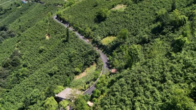 Ordu Büyükşehir Belediyesi, kırsal mahallelerde ulaşım yatırımlarını sürdürüyor. Ulubey ilçesinde