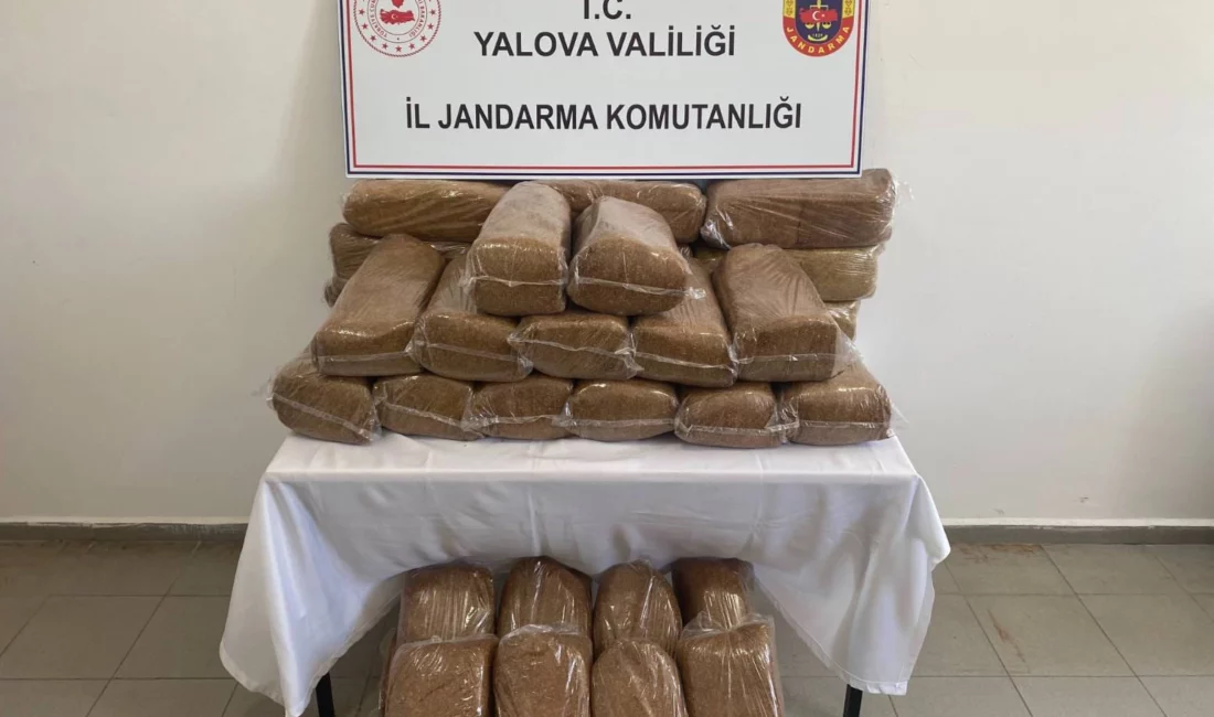 Yalova İl Jandarma Komutanlığı ekiplerince kaçakçılıkla mücadele kapsamında düzenlenen operasyonda