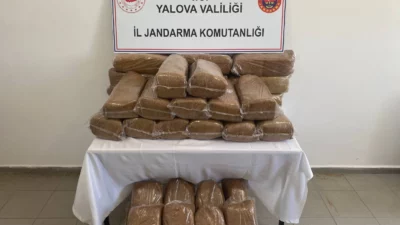 Yalova İl Jandarma Komutanlığı ekiplerince kaçakçılıkla mücadele kapsamında düzenlenen operasyonda