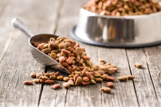 Yeni bir bilimsel inceleme, besin açısından dengeli vegan köpek maması,