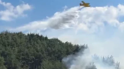 Orman Genel Müdürlüğü, Balıkesir’in Edremit ve Dursunbey ilçeleri ile Bilecik