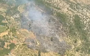 Orman Genel Müdürlüğü, Bursa’nın Kestel ve Yenişehir ilçeleri ile İzmir’in