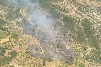 Orman Genel Müdürlüğü, Bursa’nın Kestel ve Yenişehir ilçeleri ile İzmir’in