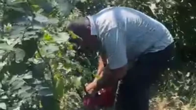 Zonguldak'ın Karadeniz Ereğli ilçesi Ruşanlar Köyü eski muhtarı Hikmet Erlat,