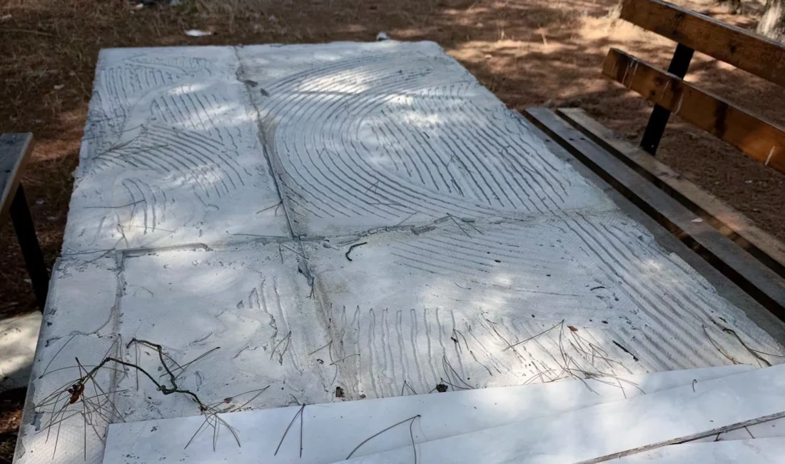 Edirne'de İpsala ilçesine bağlı Sultanköy Barajı piknik alanında yaşanan hırsızlık