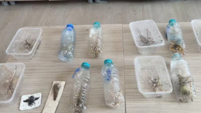 Tarım ve Orman Bakanı İbrahim Yumaklı, Nemrut Dağı Milli Parkı’nda