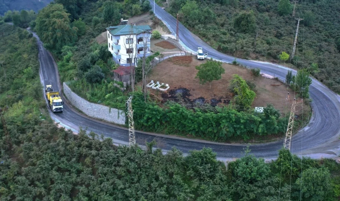 Ordu Büyükşehir Belediyesi, Gülyalı Ambarcılı-Mustafalı Mahallesi bağlantı yolunda asfalt çalışması