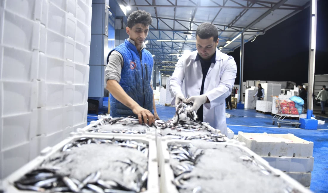Ankara Büyükşehir Belediyesi, yeni balık sezonunun başlamasıyla birlikte Ankara Toptancı