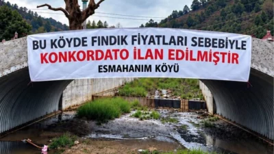 Düzce'nin Akçakoca ilçesi Esmahanım Köyü'nde üreticiler, fındık fiyatlarının düşüklüğü ve