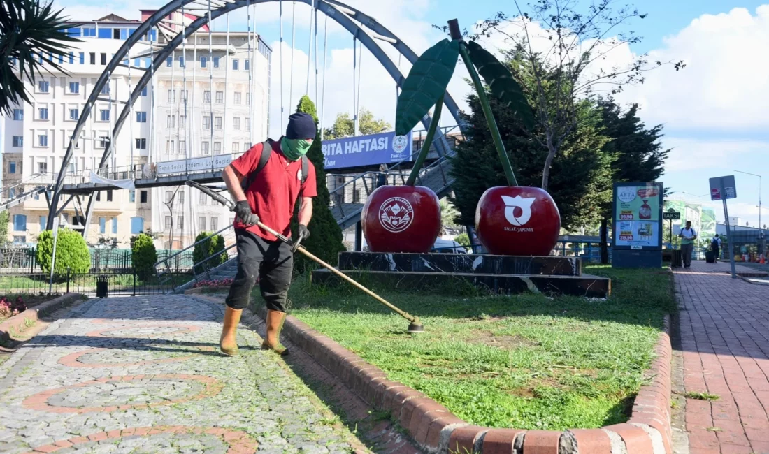 Giresun Belediyesi Park ve Bahçeler Müdürlüğü ekipleri, kent genelindeki yeşil