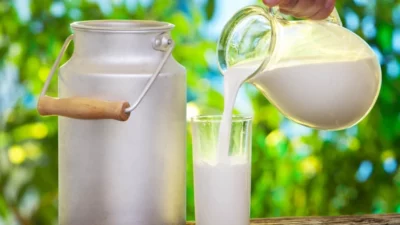 Tarım ve Orman Bakanı İbrahim Yumaklı, içme sütlerine ilişkin yeni
